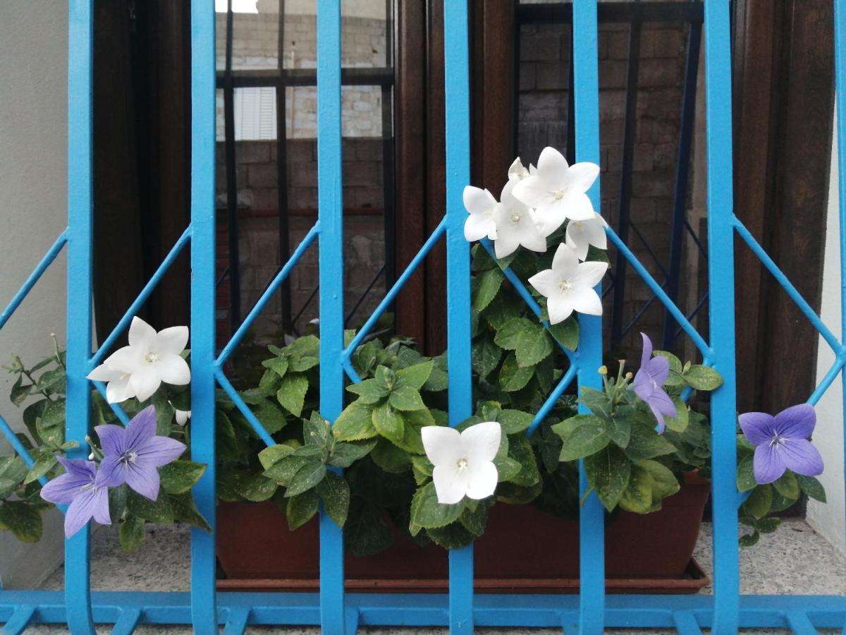 Bed and Breakfast Viche Viche Орґозоло Екстер'єр фото